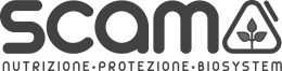 Scam aziende Just Consulting