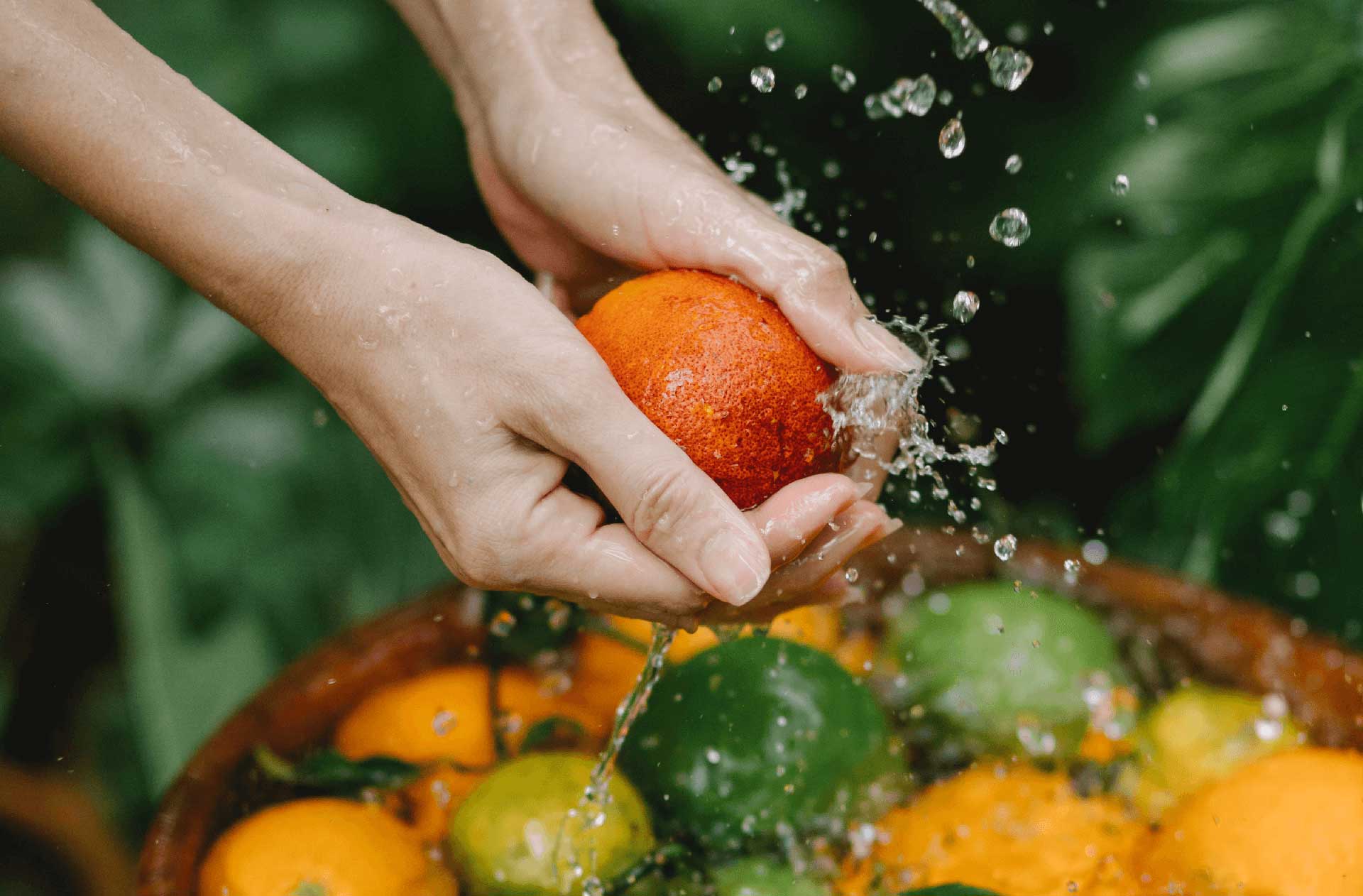 igiene degli alimenti HACCP, norme igieniche, HACCP, consulenza igiene a Bologna, Modena, Ferrara, Emilia Romagna, corso alimentaristi