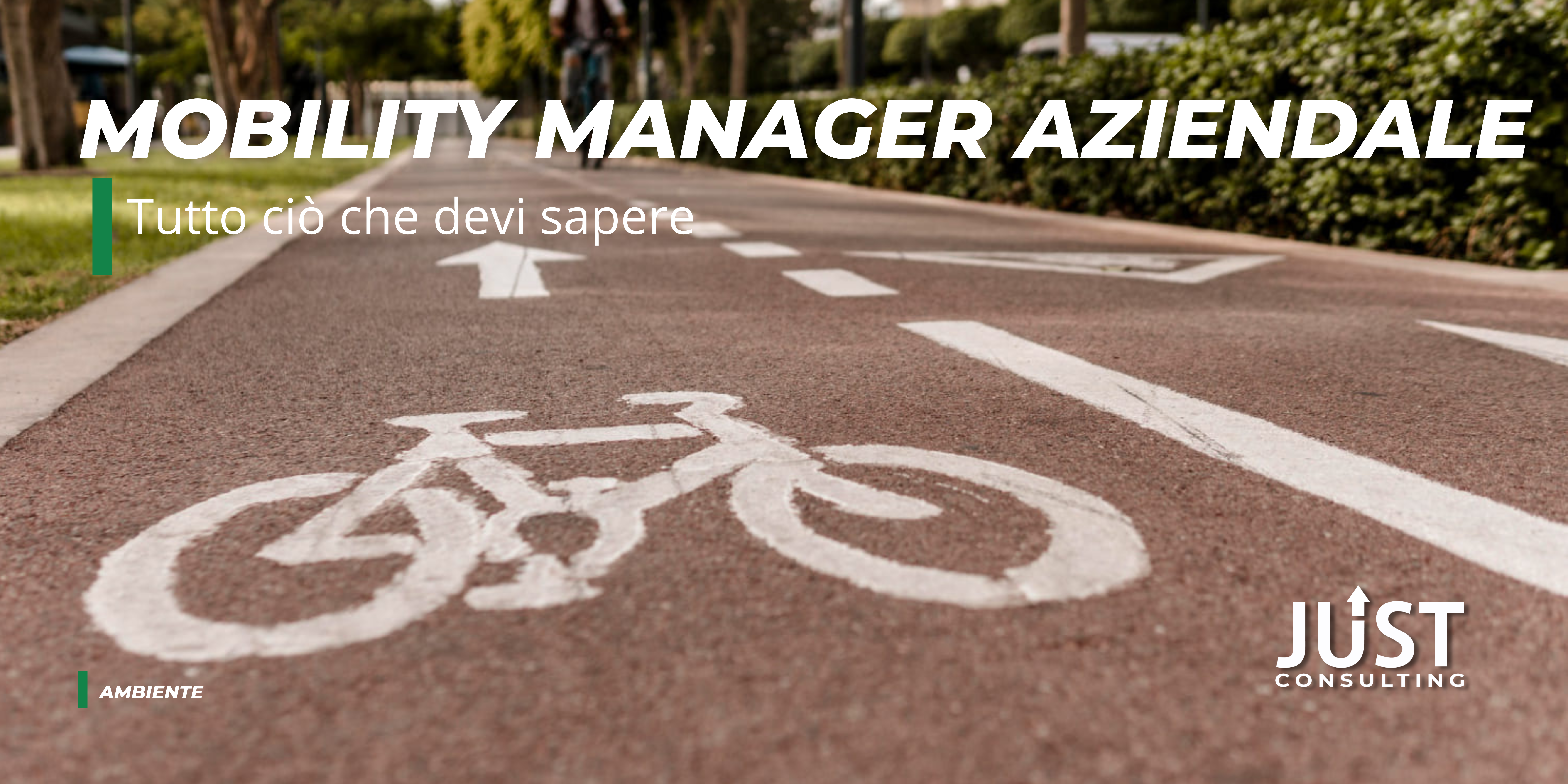 mobility manager aziendale