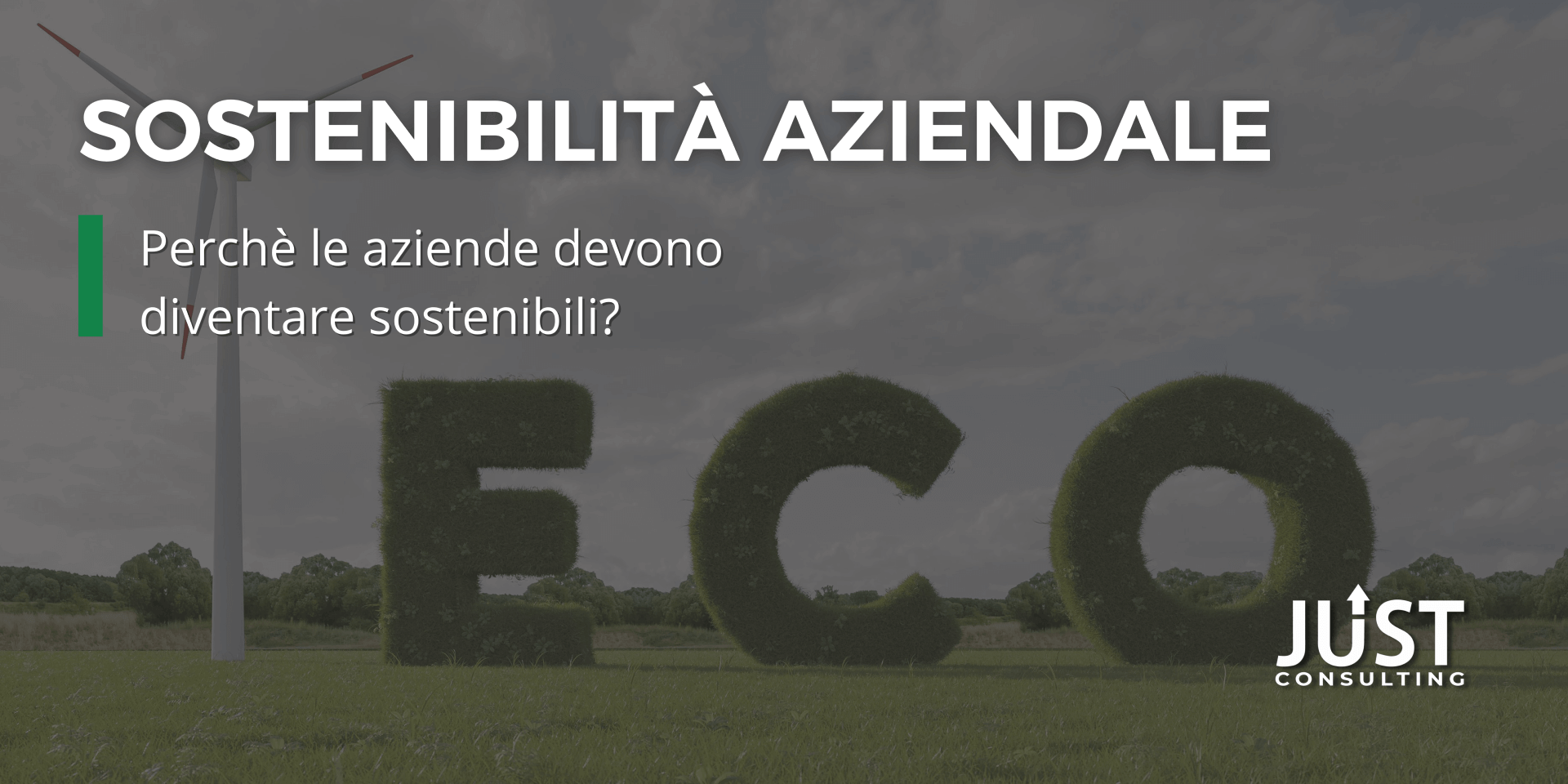 Consulenza ambientale aziende a Bologna, Modena, Ferrara, Emilia-Romagna, sostenibilità aziendale, imprese sostenibili, certificazione ambiente, certificazioni di prodotto
