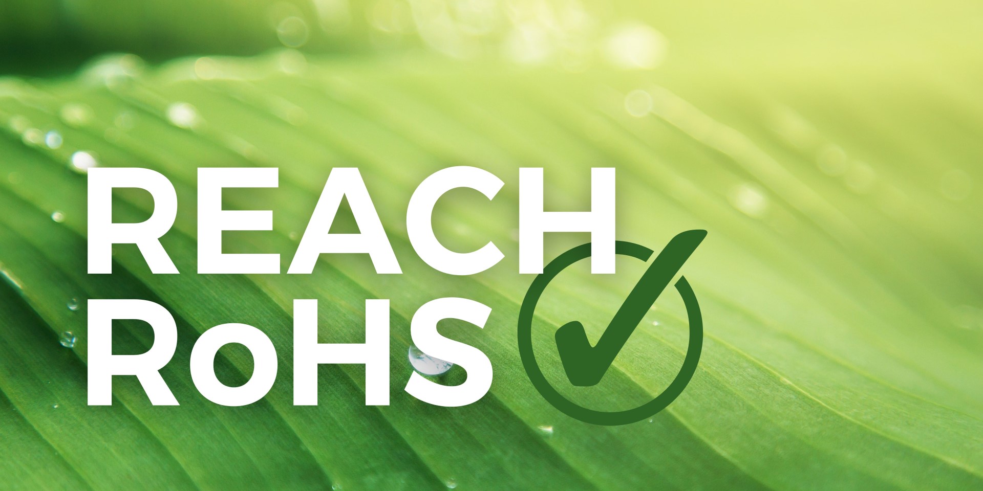 Reach Rohs, CLP, corso di formazione regolamento reach e rohs, SVHC