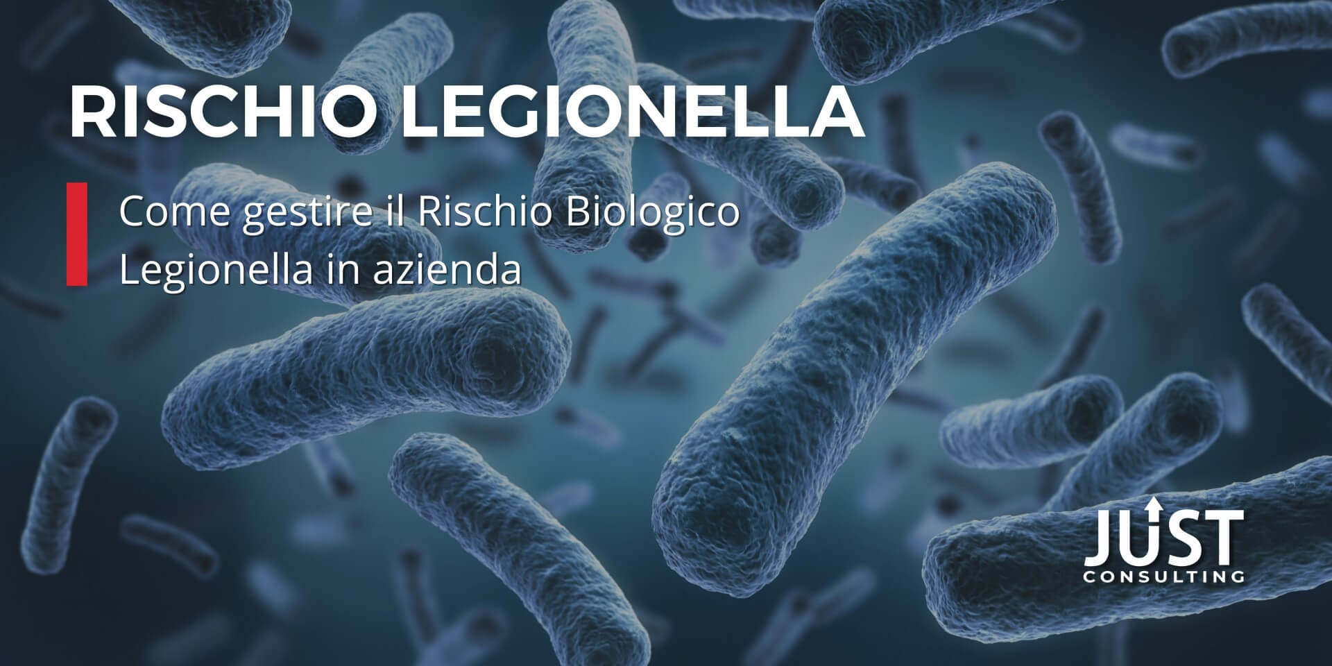 rischio biologico legionella, campionamenti legionella, dvr legionella, Consulenza aziendale Bologna, Modena, Ferrare Emilia-Romagna