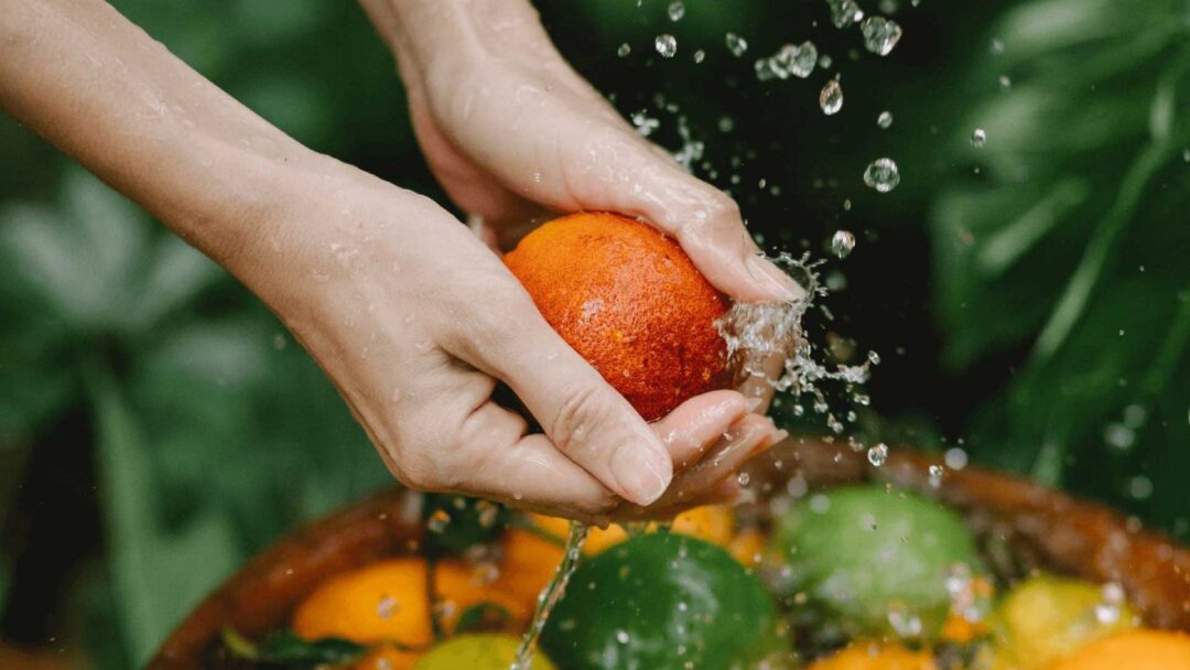 corso alimentaristi HACCP a Bologna, Modena, Ferrara, Emilia-Romagna, videoconferenza, online, in azienda, corso di formazione, formazione in videoconferenza