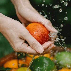 corso alimentaristi HACCP a Bologna, Modena, Ferrara, Emilia-Romagna, videoconferenza, online, in azienda, corso di formazione, formazione in videoconferenza