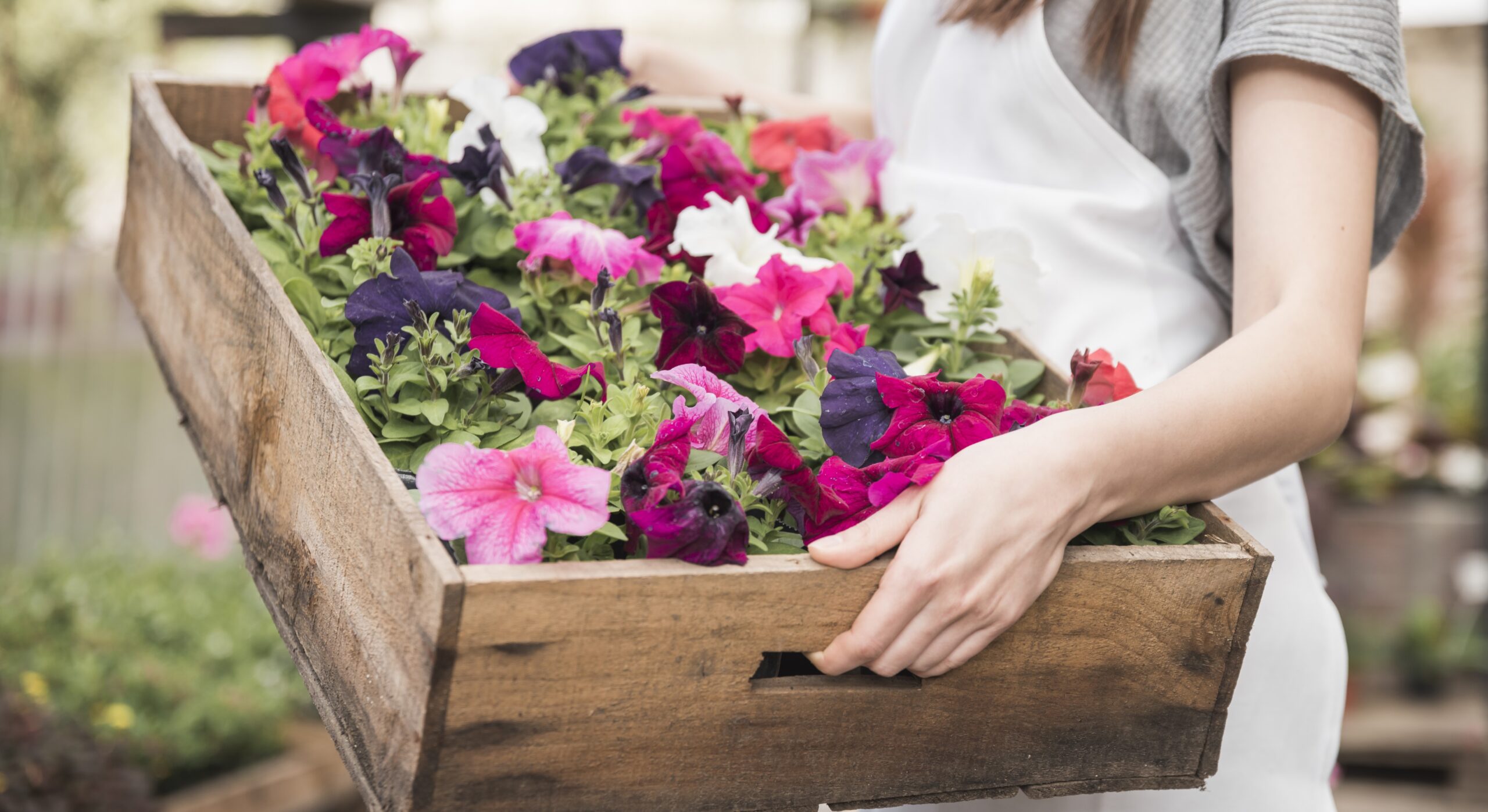 florovivaismo-sicurezza-alimentare-certificazione-globalgap florovivaismo-sicurezza-alimentare-certificazione-globalgap