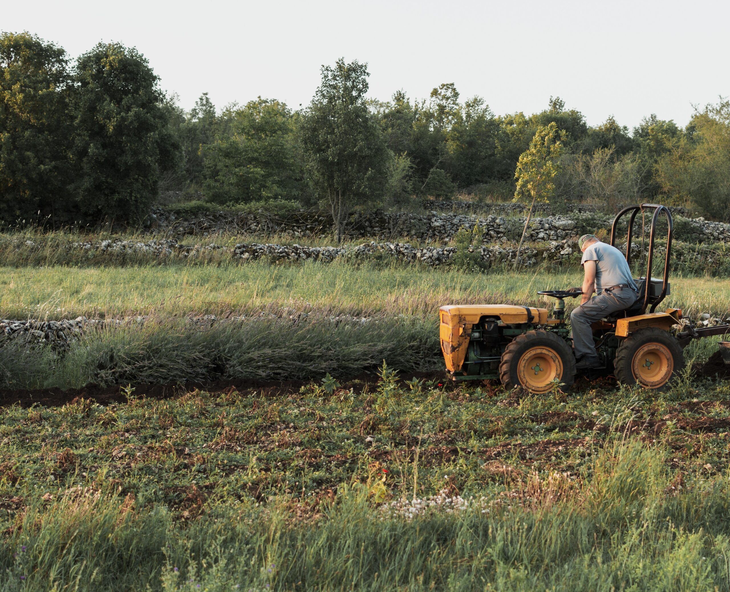 certificazione-global-gap-buone-pratiche-agricole certificazione-global-gap-buone-pratiche-agricole