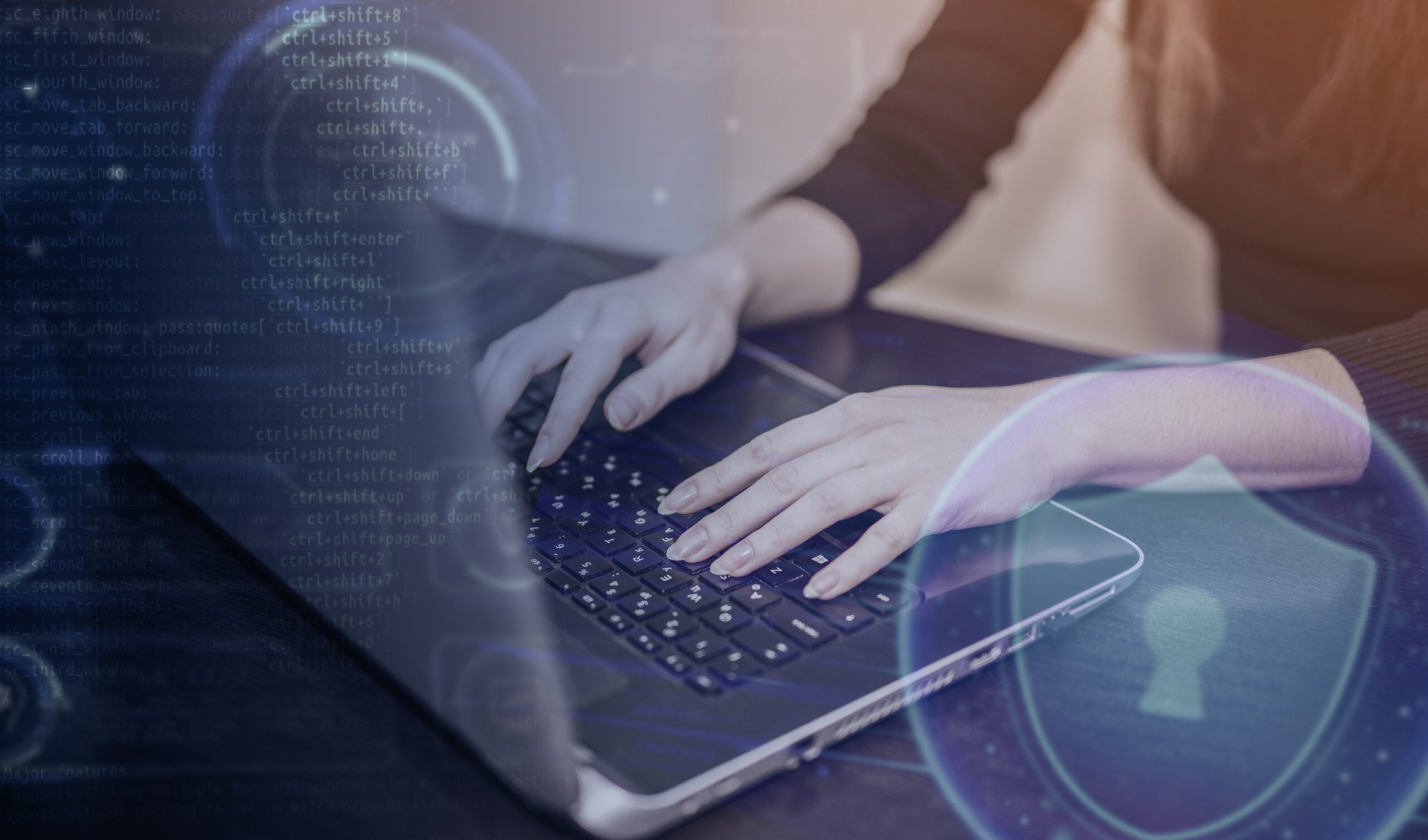 la-sicurezza-informatica la-sicurezza-informatica