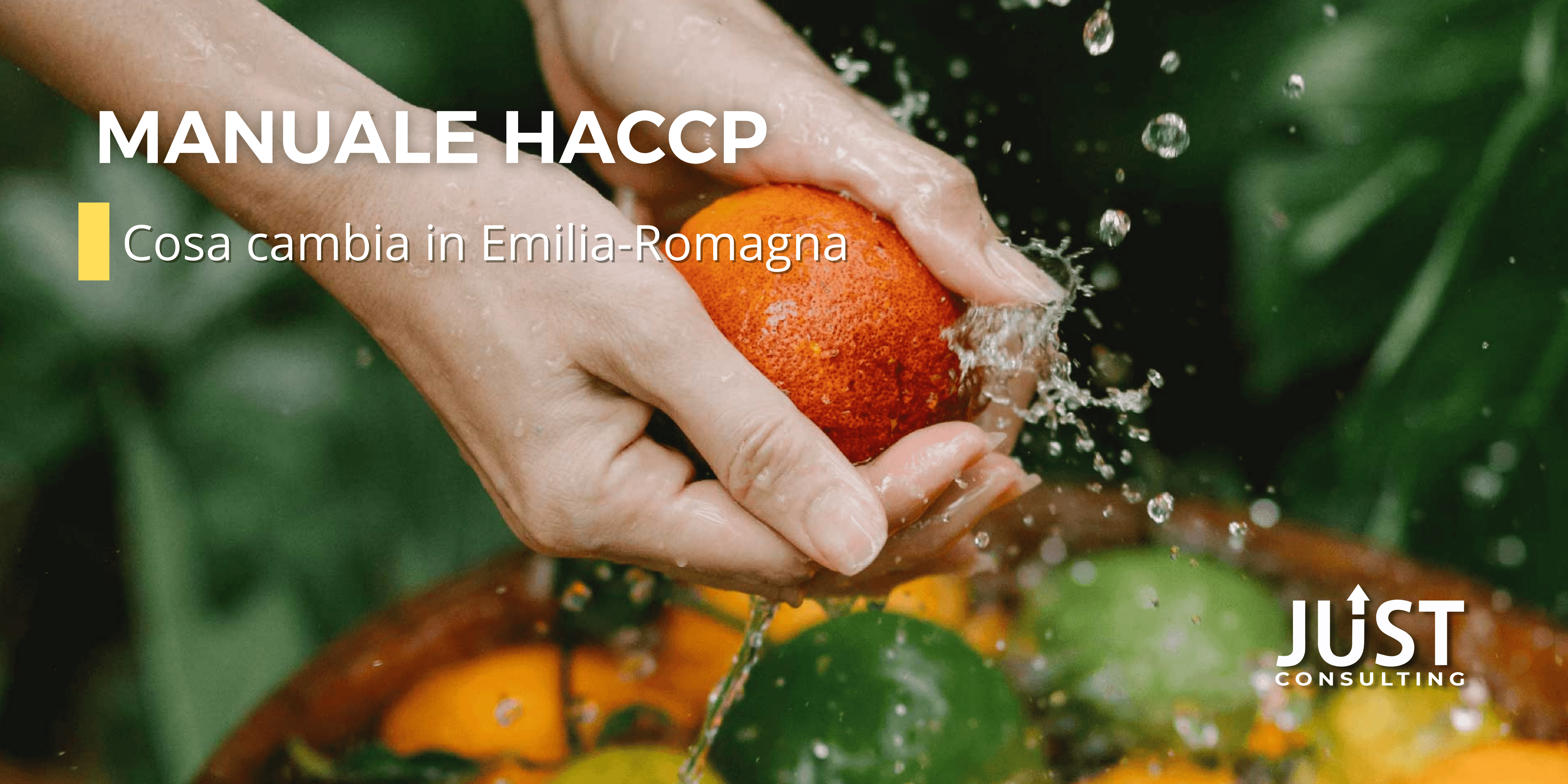 manuale haccp