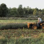 certificazione-global-gap-buone-pratiche-agricole