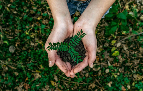Immagine che rappresenta la tutela ambientale e che descrive il servizio di consulenza per MUD 2026 e normativa RENTRI offerto da JustConsulting