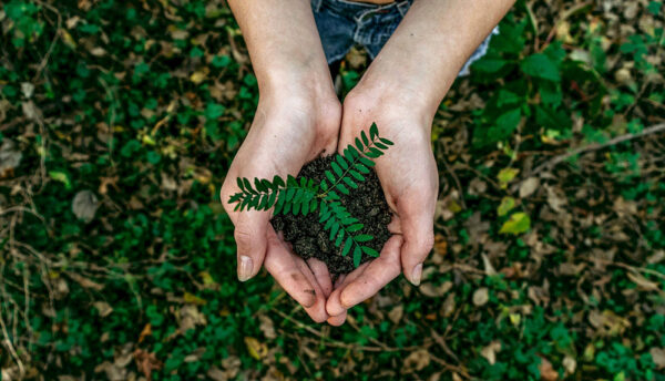 Immagine che rappresenta la tutela ambientale e che descrive il servizio di consulenza per MUD 2026 e normativa RENTRI offerto da JustConsulting