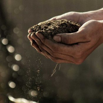 Sostenibilità aziendale ed ecosostenibilità sviluppo sostenibile aziendale, sostenibilità ambientale, sostenibilità aziende, economia circolare, sviluppo ambientale, certificazioni ambientali, ISO 14001, SA 8000, consulenza sostenibilità ambientale a Bologna, Modena, Reggio-Emilia, Ferrara